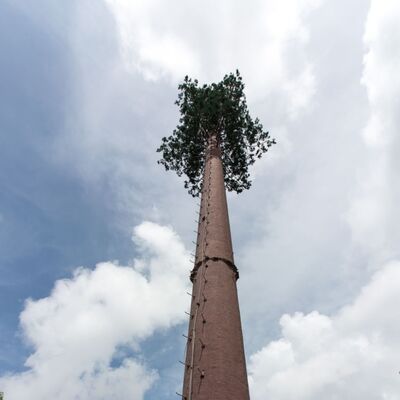 Menara Pohon Bionik 36M menampilkan batang pohon buatan serat kaca yang tahan lama, cabang, dan daun dengan platform tersembunyi untuk antena 5G dan sensor lingkungan