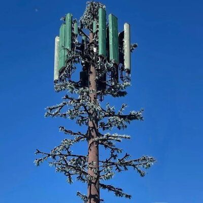 Menara Pohon Bionik desain modular dengan spesies pohon dan ketinggian yang dapat disesuaikan mendukung dudukan antena, manajemen kabel, dan pemanen energi terbarukan