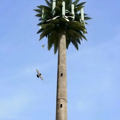 Bionic Tree Tower buatan dengan ANSI TIA 222 G H F dan EN 1991 1 4 EN 1993 3 1 kode desain untuk infrastruktur