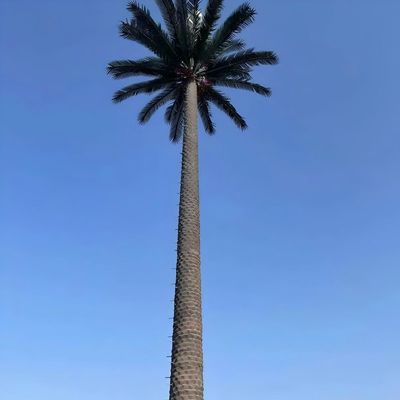 10 20 30 40 50 60 70 80 M Hot Dip Galvanized Disamarkan Pole Palm / Pine Micro False Cell Tower Pohon 10 20 30 40 50 60 70 80 M