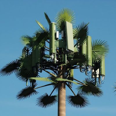 10 20 30 40 50 60 70 80 M Hot Dip Galvanized Disamarkan Pole Palm / Pine Micro False Cell Tower Pohon 10 20 30 40 50 60 70 80 M