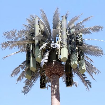 10 20 30 40 50 60 70 80 M Hot Dip Galvanized Disamarkan Pole Palm / Pine Micro False Cell Tower Pohon 10 20 30 40 50 60 70 80 M