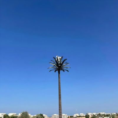 Menara sel berselubung bionik GSM Antenna Monopole Baja Menara Telekom Galvanisasi