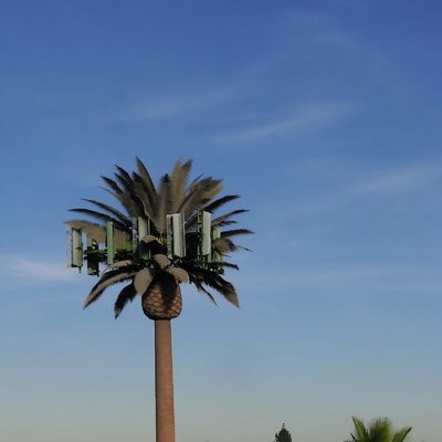 Komunikasi Monopole Pohon Pine Palsu Menara Sel ASTM A36 A572 Gr50 Menara Sel Disamarkan sebagai Pohon
