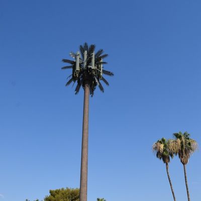 15 20 25 30 35 40 45M Hot Dip Galvanized Disamarkan Pohon Palsu Menara Ponsel Bionic Cypress Monopole Menara