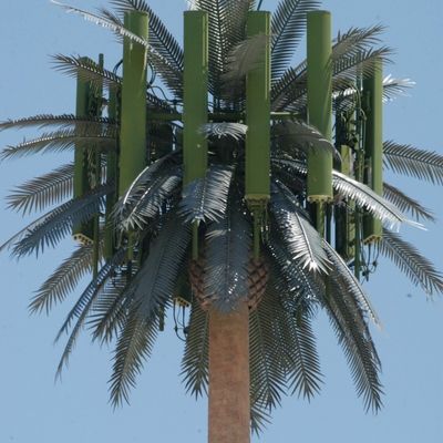 Galvanized GSM Mobile Bionic Palm Tree Antenna Menara Tunggal Pole 5g Menara Kamuflase