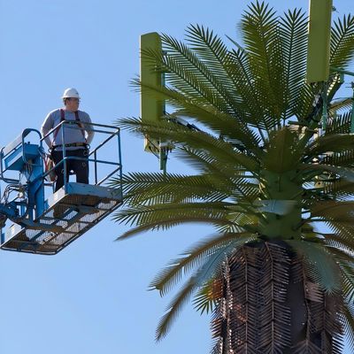 Galvanized GSM Mobile Bionic Palm Tree Antenna Menara Tunggal Pole 5g Menara Kamuflase
