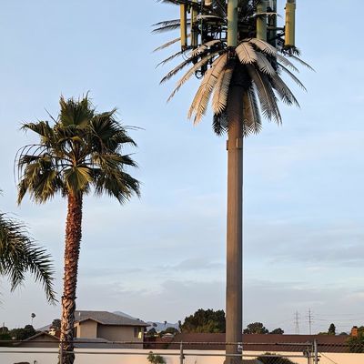 10 20 30 M Pohon Sawit Palsu Pohon Sel Menara Telekomunikasi Kamuflase 5-80M
