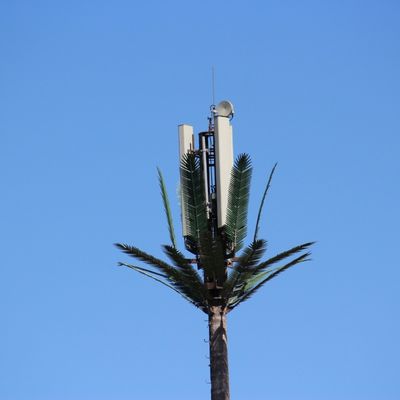 Pohon Sawit Palsu Pohon Cell Tower Telekomunikasi Kamuflase 5-80M