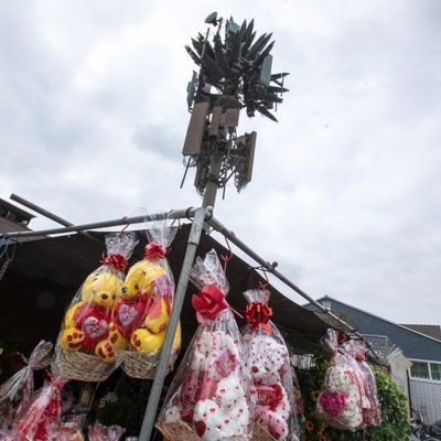 Menara Monopole Telekomunikasi Bionik Galvanis / Menara Sel Pohon Buatan