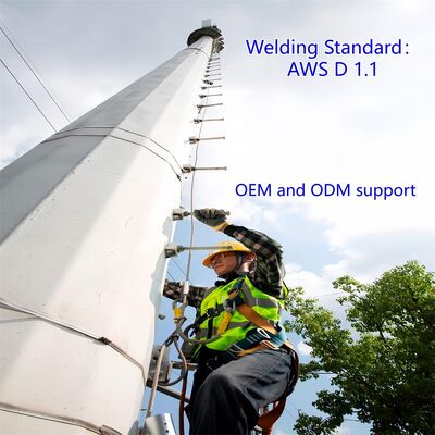 Monopole Tower Telecom Steel Structure Hot Dip Galvanized Painted Design Code ANSI TIA 222 G H F Wind Speed Up to 250 kmh