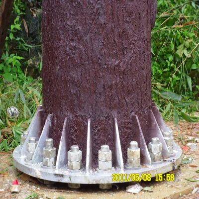 Menara Pohon Bionik dengan manajemen kabel terintegrasi dan platform tersembunyi yang mendukung peralatan telekomunikasi gelombang mikro dan pemantauan lingkungan