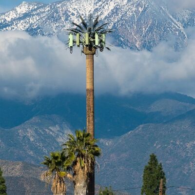 Komponen modular menara pohon bionik yang dapat disesuaikan untuk ketinggian dan jenis pohon agar sesuai dengan berbagai kebutuhan lanskap