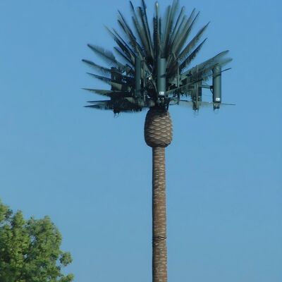Menara Komunikasi Pohon Bionik Baja Galvanis 25m Sinyal 5G Area Pemandangan Desain Lanskap