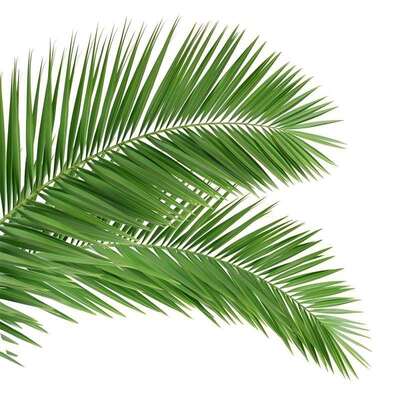 Bionic Tree Tower menara pohon buatan dengan kekuatan tegangan berkisar dari 360 hingga 630 Mpa dan elongasi hingga 24 persen