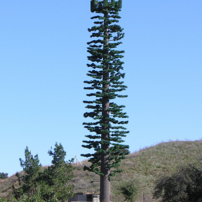 22 28 36Meter Hot Dip Galvanized Bionic Tree Telecom Tower Disamarkan Untuk Area Pemandangan Wisata