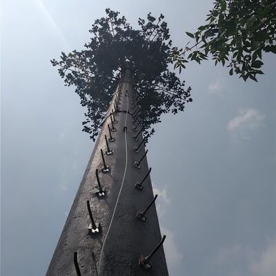 18 27 35 Meter Menara Telekomunikasi Pohon Palem Tersamar Untuk Lanskap Hotel Resor