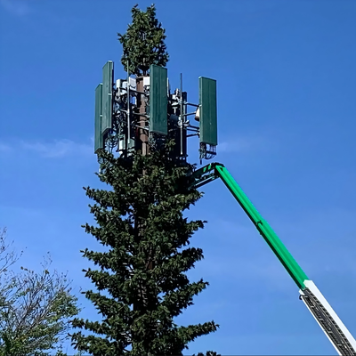 Menara Pohon Pinus Bionic Kamuflase Ramah Lingkungan untuk Jaringan Nirkabel 5G Integrasi Estetika Pabrik Tiang Komunikasi Pohon Palem Bionic
