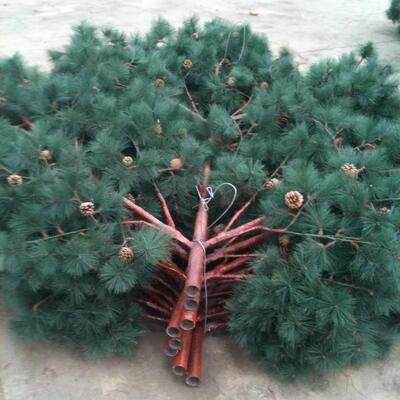 Menara Pohon Pinus Bionik yang Kuat dengan Daun Tersamar dan Sistem Antena Tersembunyi untuk Area Lansekap Situs Jaringan 5G Q345B Galvanis